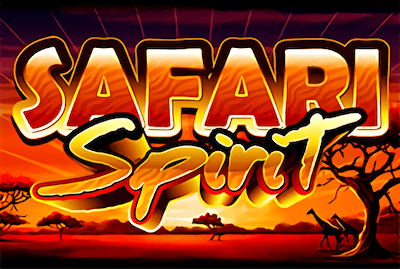 Safari Spirit