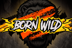 Born Wild 96%