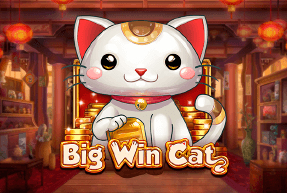 Big Win Cat