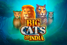Big Cats Of India